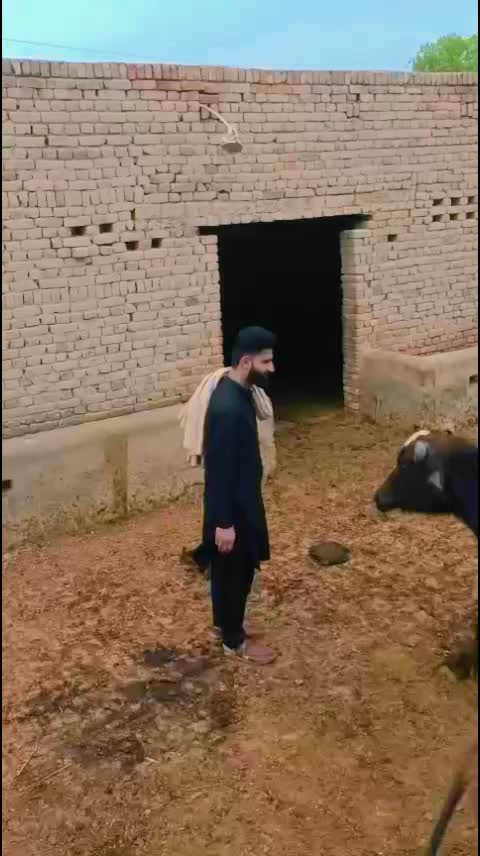 @SHERAZ BUTT 241🏋