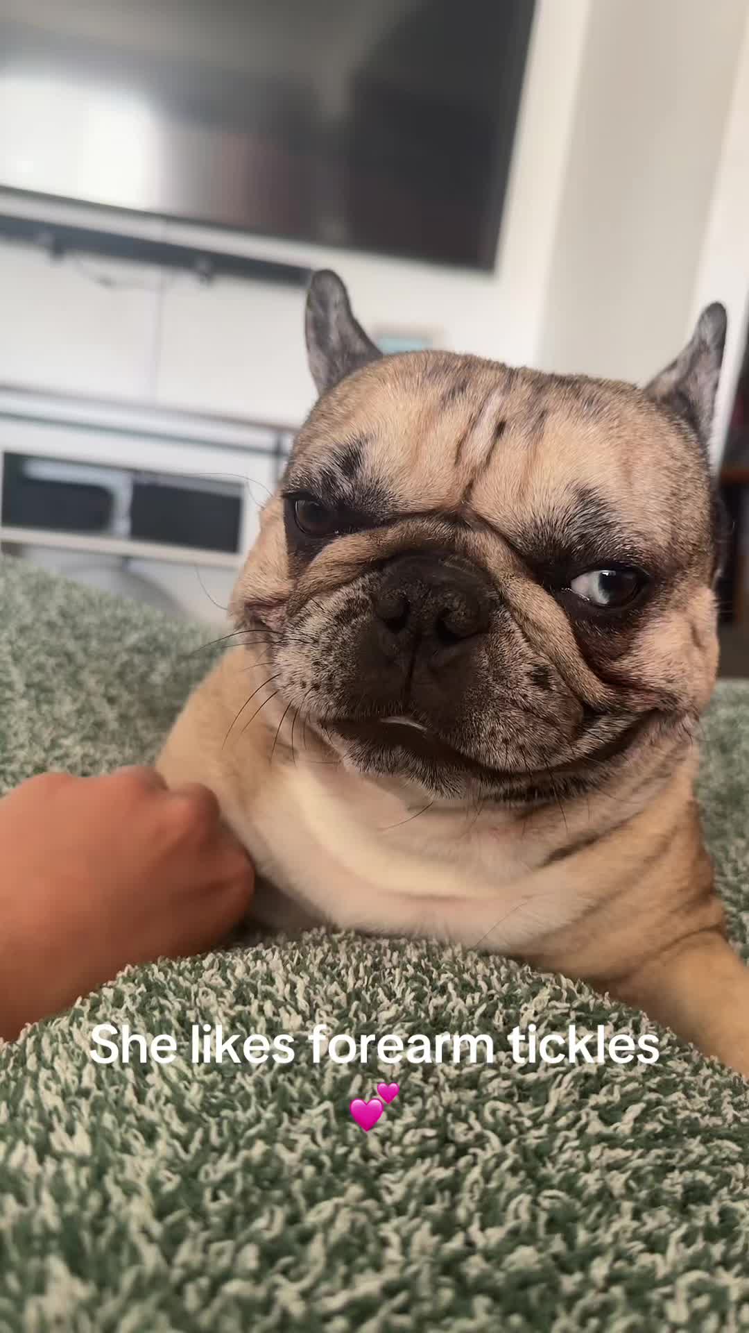 @Jelly