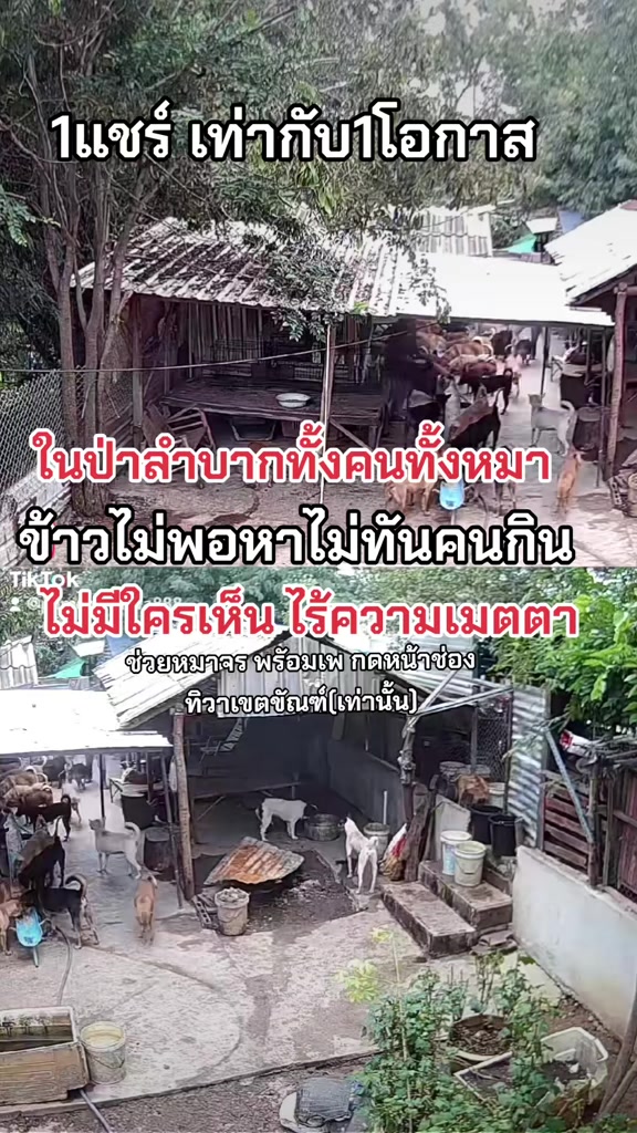 @๐๘๖๑๔o๘๓๙๖ทิวาเขตขัณฑ์