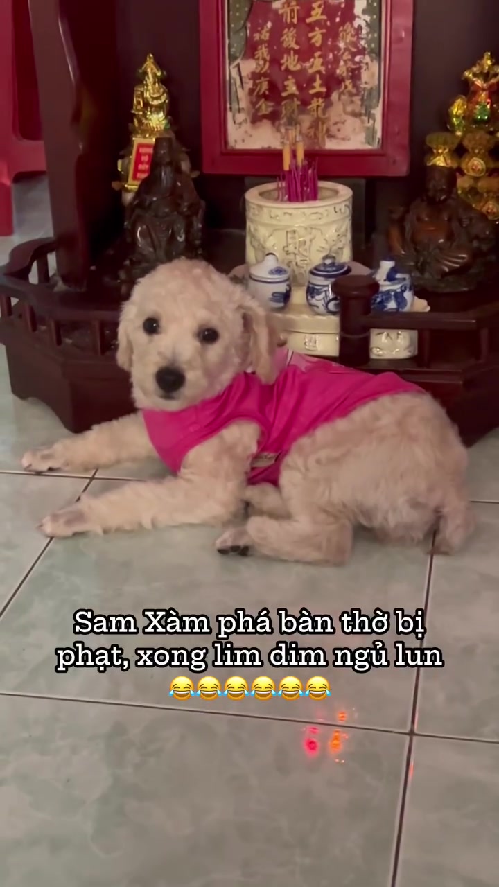 @Sam Xàm phiêu lưu ký