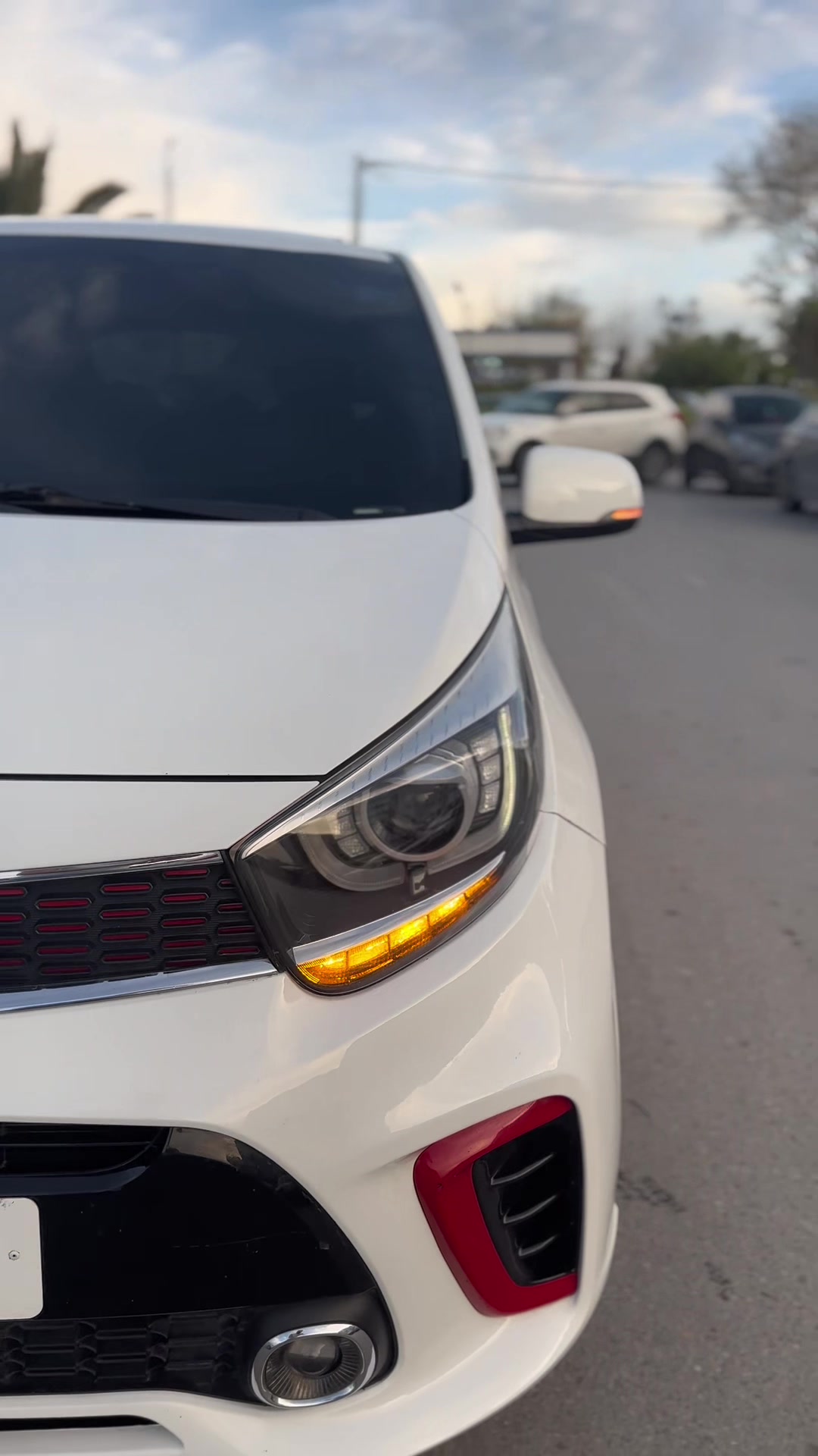 @anis picanto
