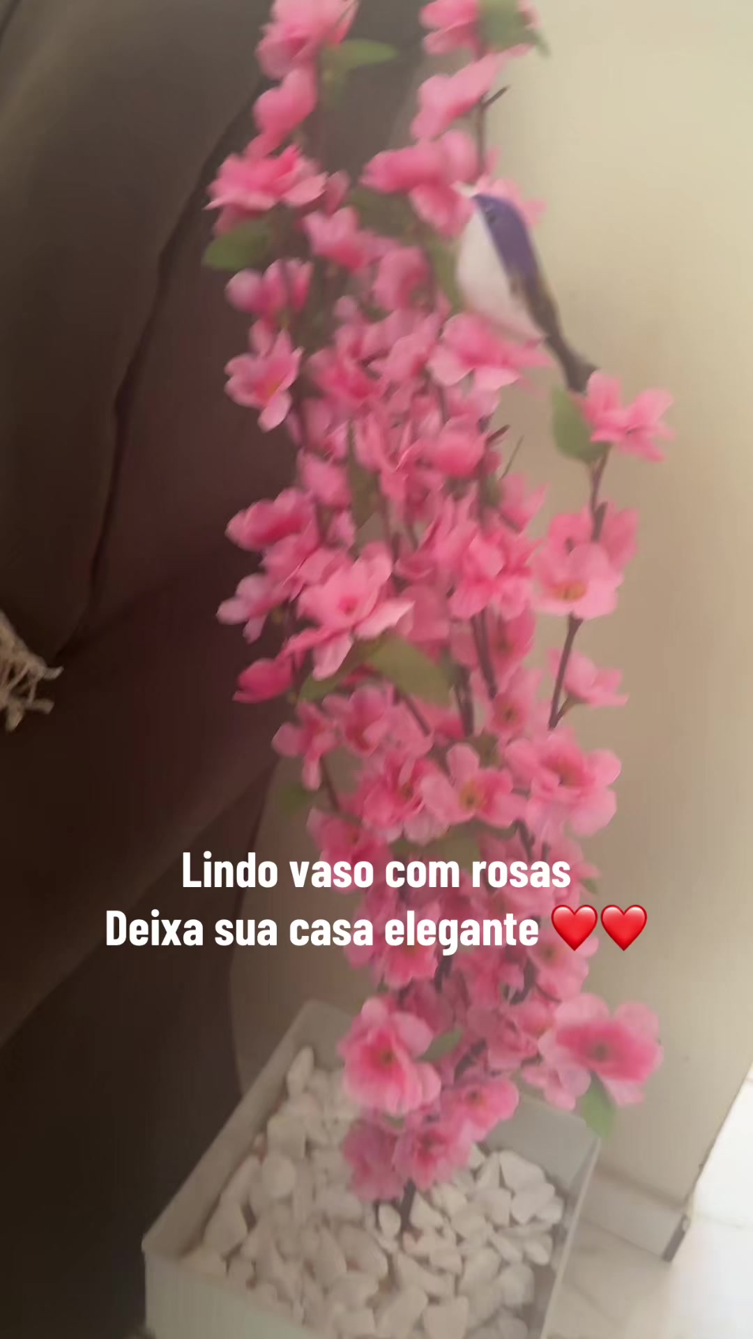 @Tik Tok Shop Brasil