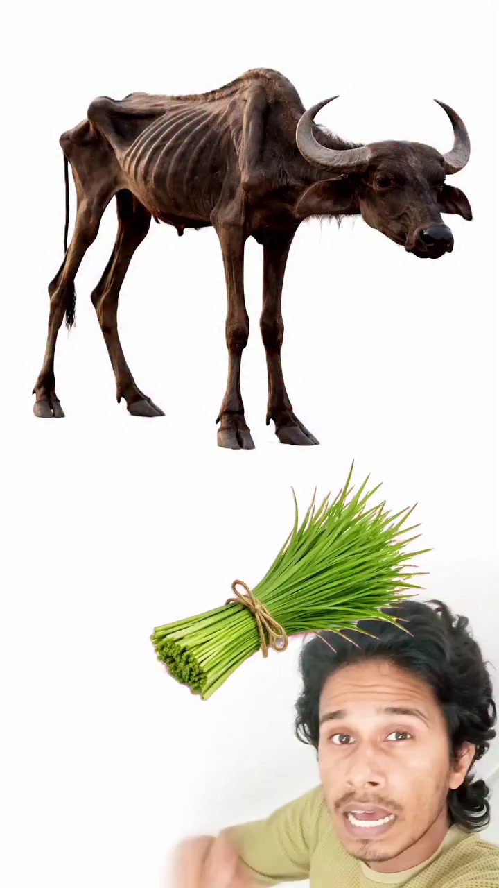 @PRAJAPATI