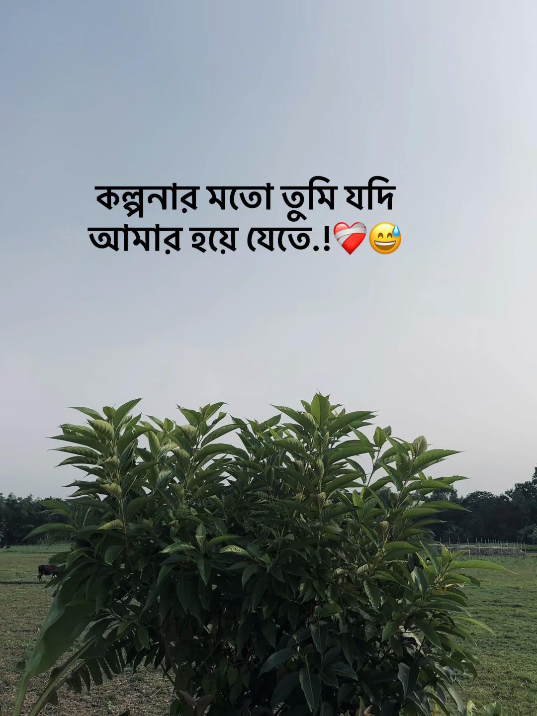 @সা জু 📜