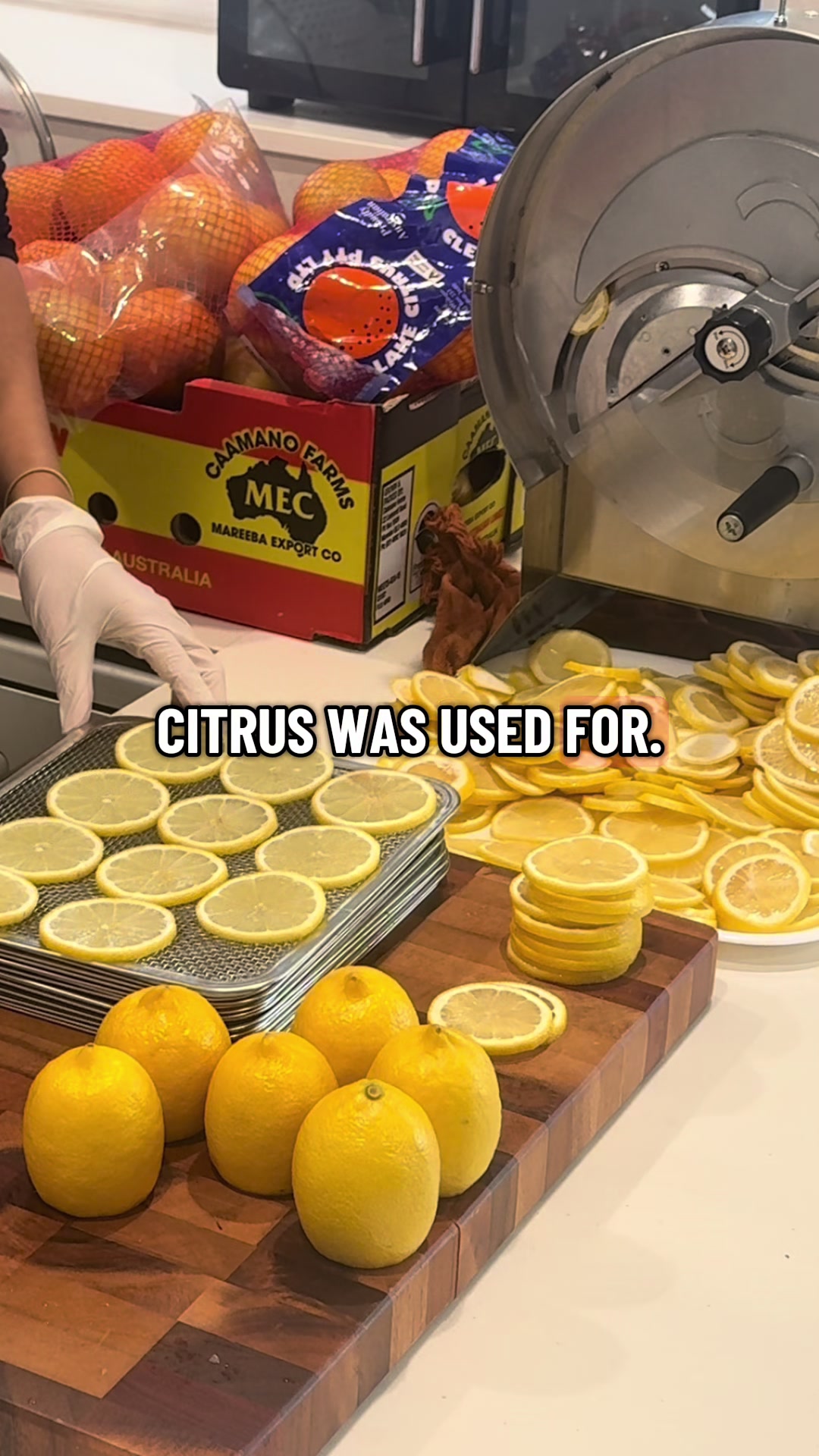 @Citrus Huis