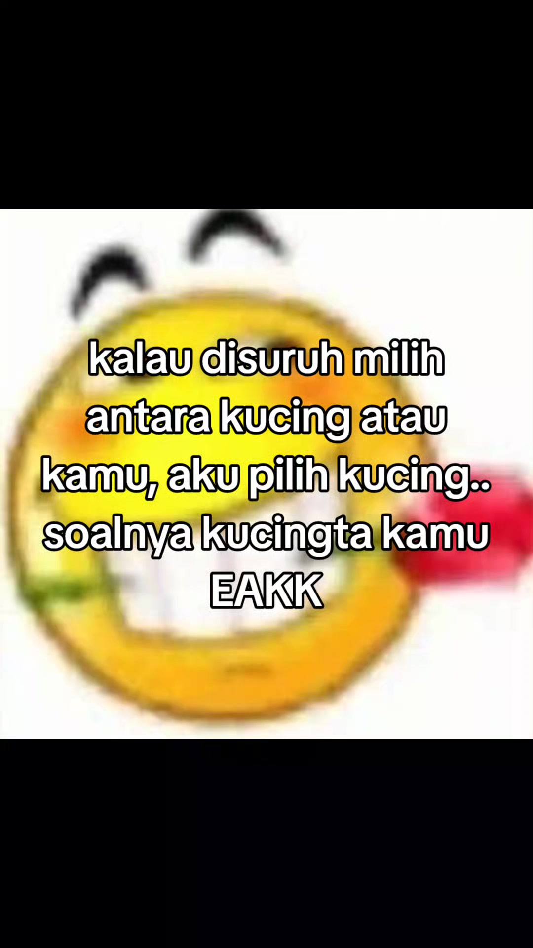 @anindyA :3 🐇💭