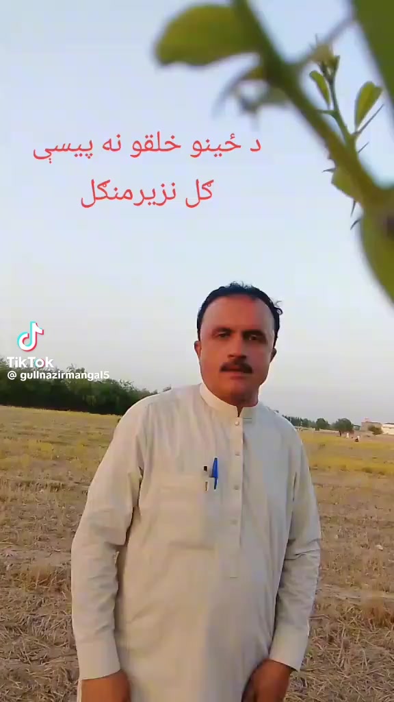 @نسيم ځاځي