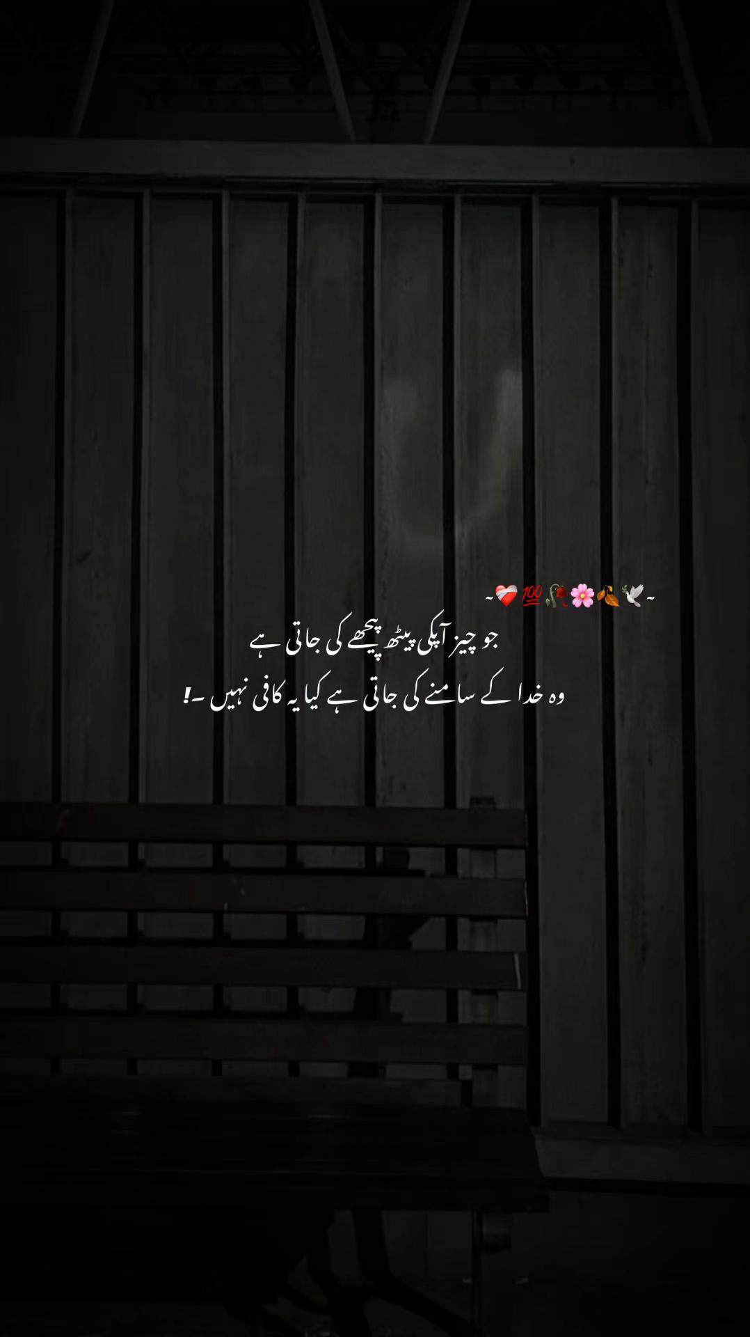 @صاحِبہ 🖤