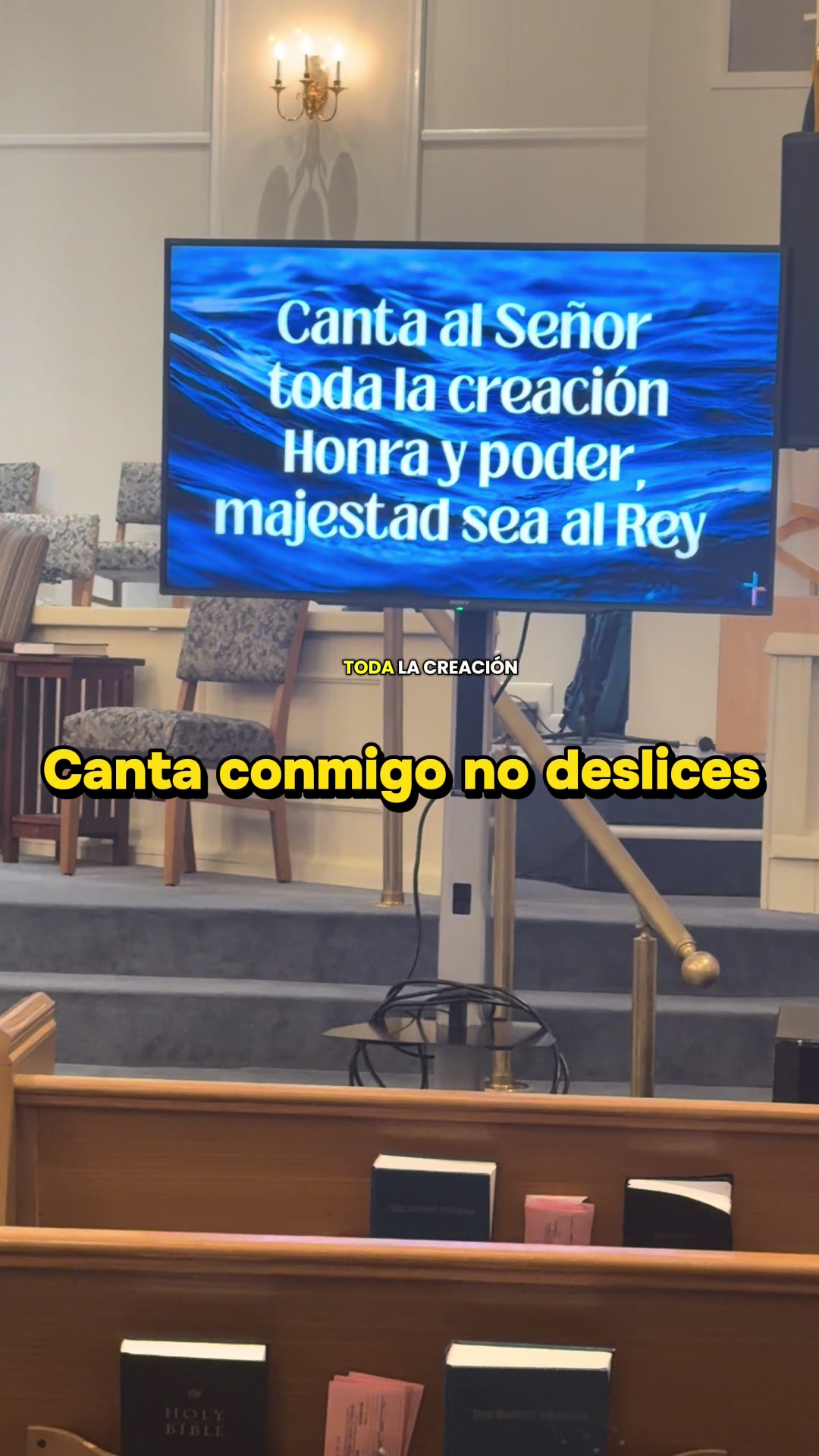 @jovenadorador8