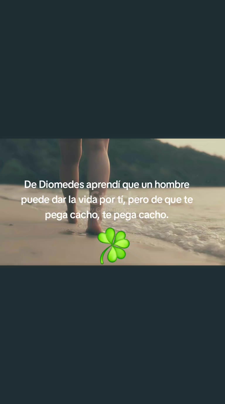 @manequide 871
