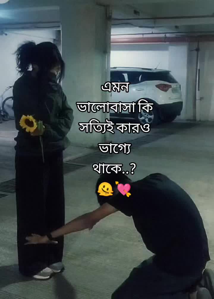 @~FF_Writer~