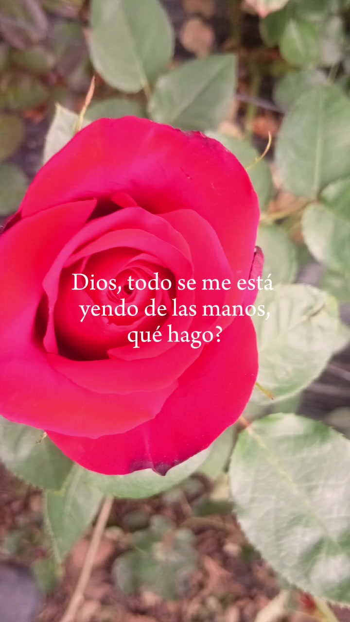 @Valentina❤️👑