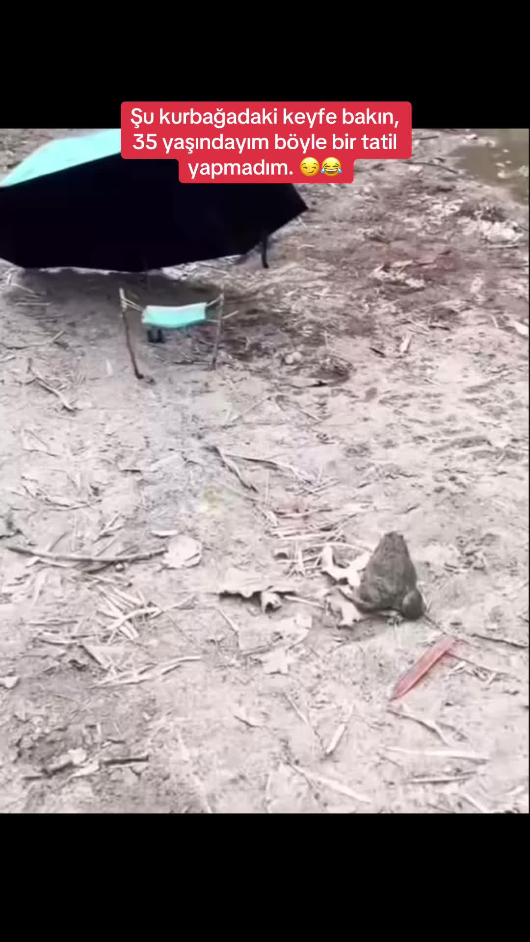 @亗𝐏𝐀𝐓𝐍𝐎𝐒𝐋𝐔亗