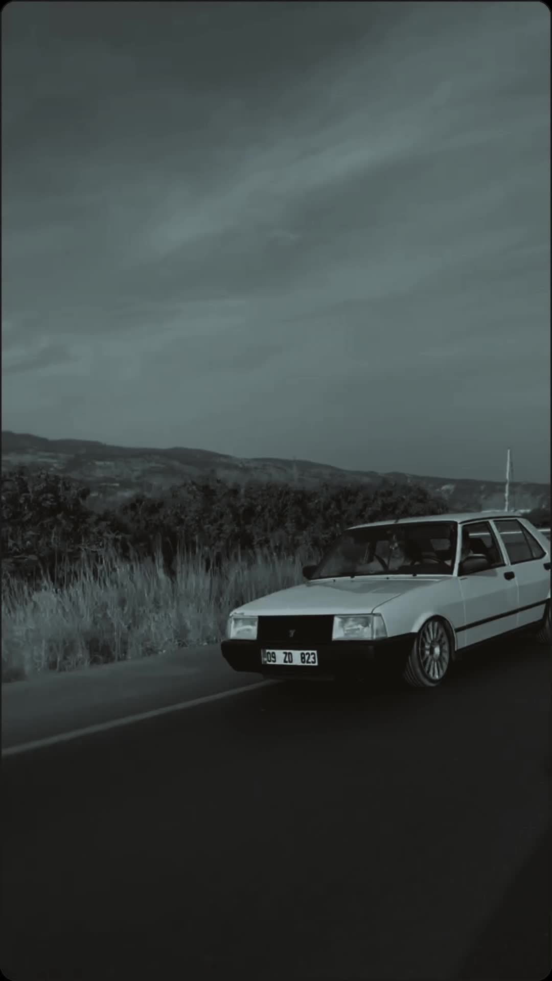 @yaşar alp