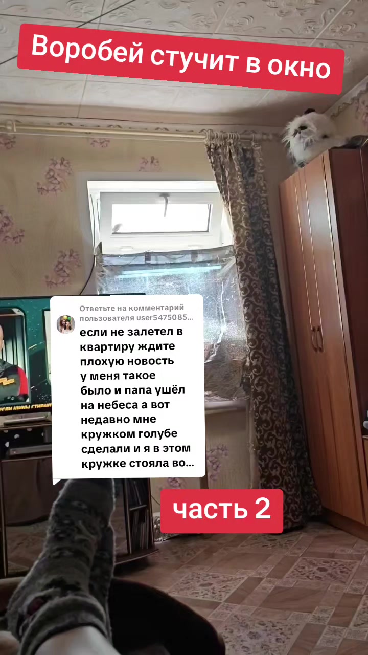 @Кисюля