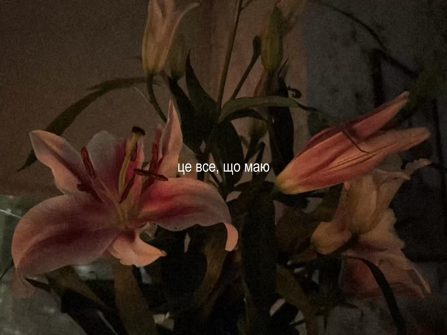 @𝑀 🤍