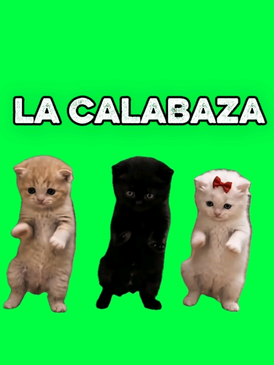 @MemeScreens
