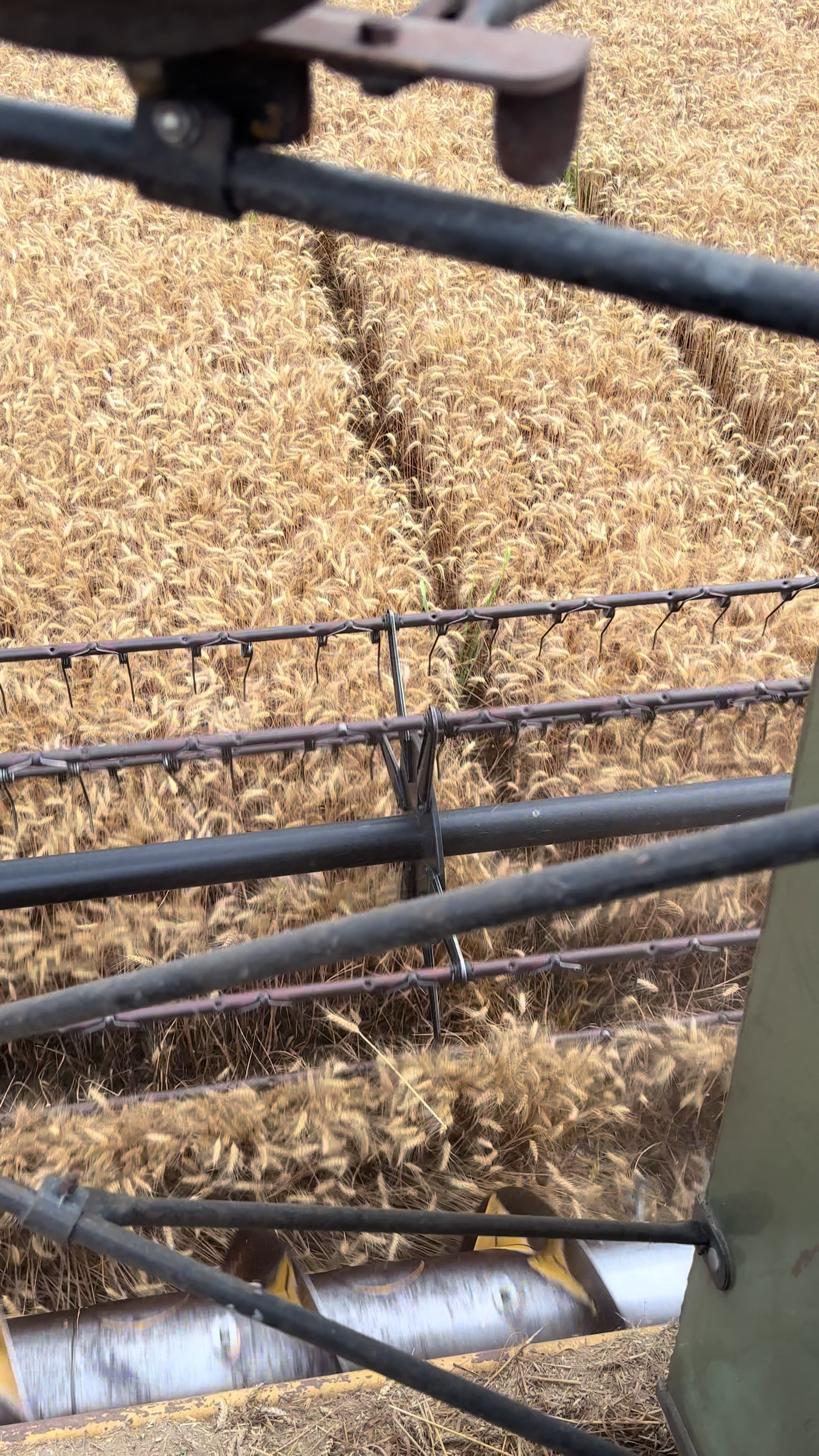 @agriculture_macva_pgdn