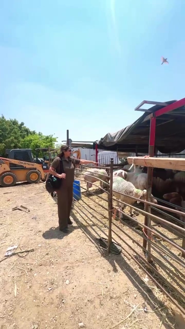 @TikTok 🔥🔥🔥🔥🔥🔥🔥🔥