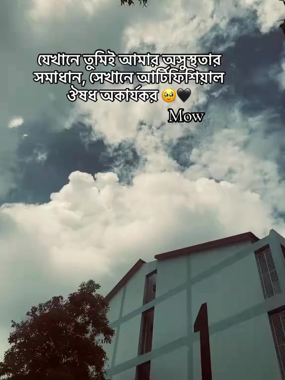 @ᚓŃ&Auml;ᴴ&Iuml;ᴰ𓂃ᴹ&Oslash;ᵂ ꪑꙶ🕊️⊰ー