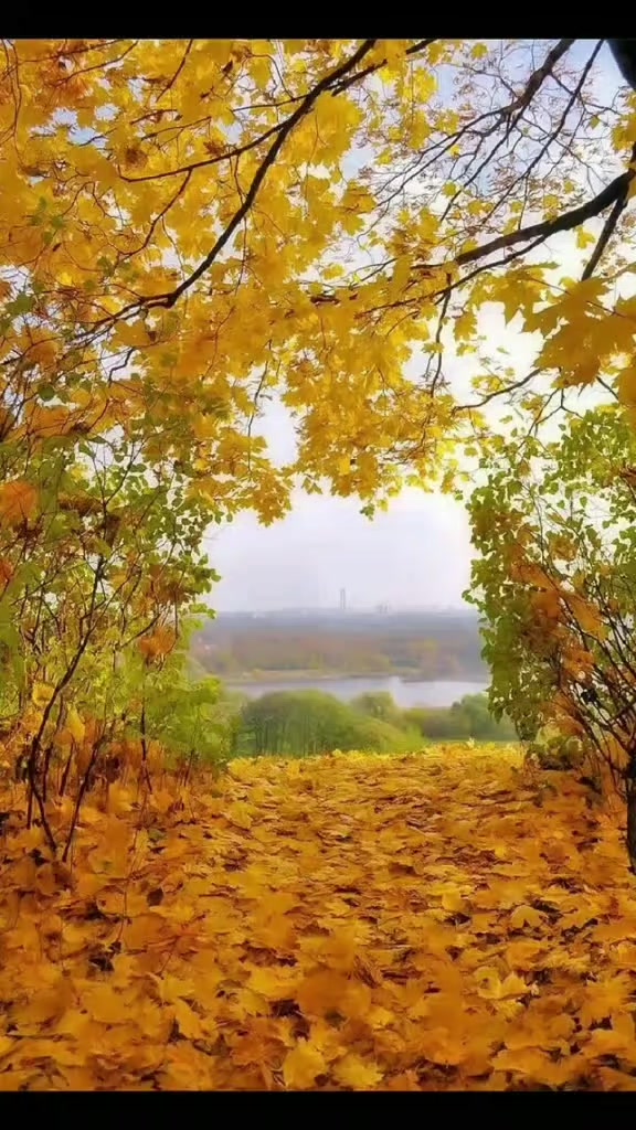 @любимые мелодии друзья