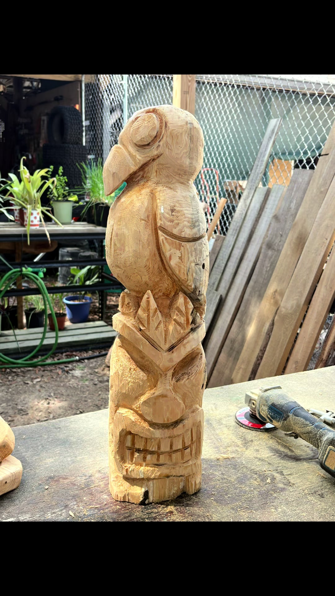 @Oakee Dokee Farm & Carvings