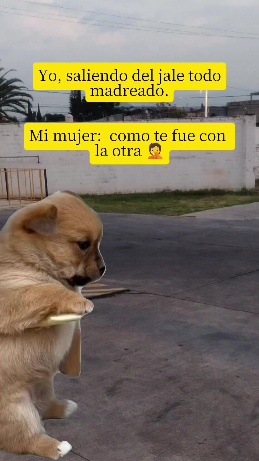 @Hugo