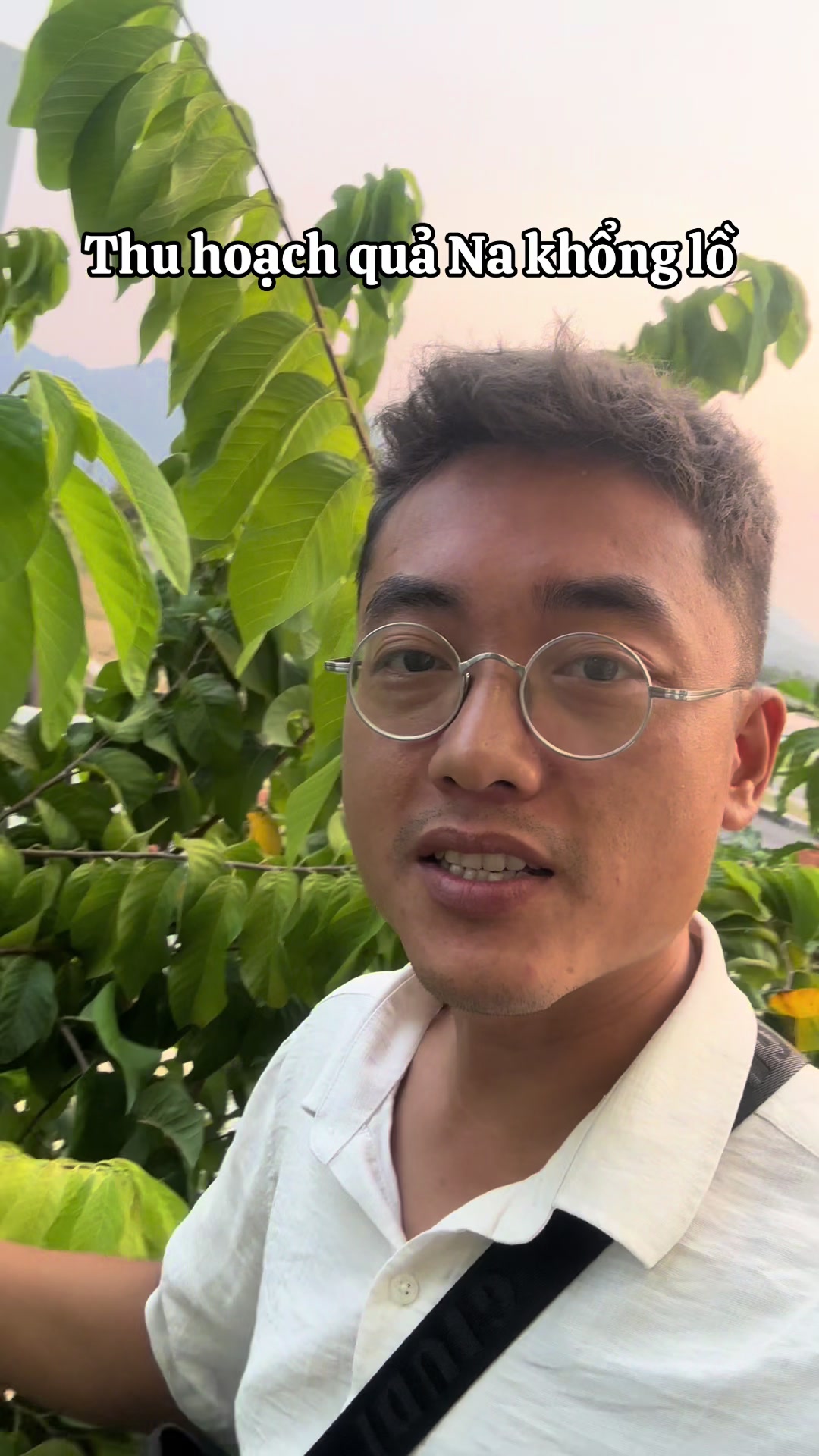 @Nguyễn Quang Dũng