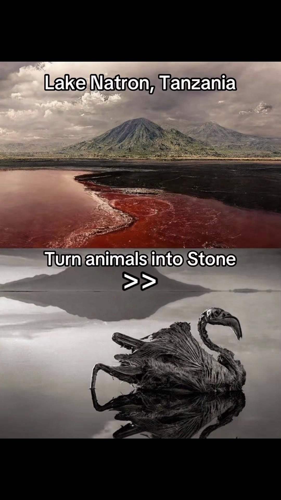 @universooculto404