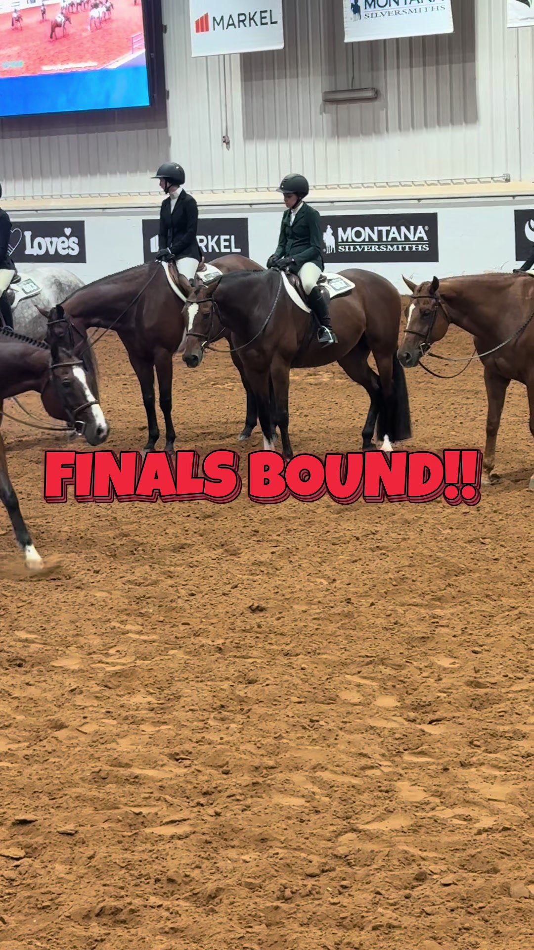 @JD Show Horses
