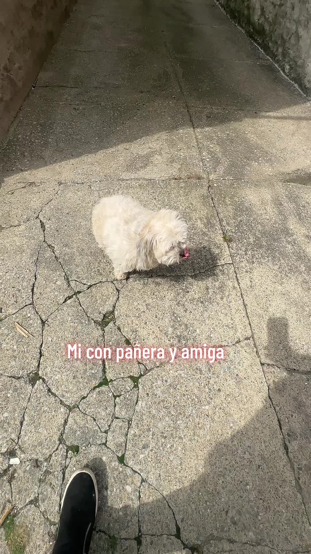 @❤️Rosy la oaxaqueña