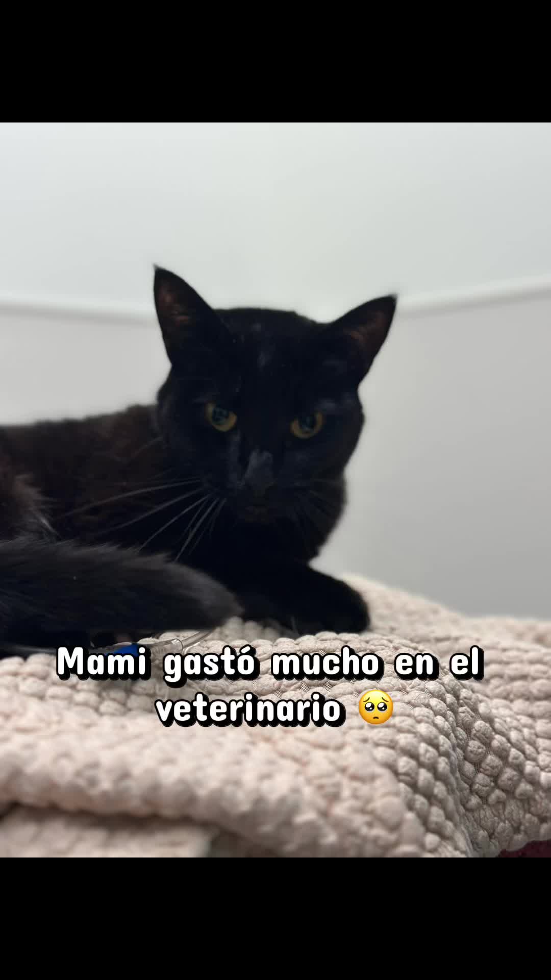 @Edith Jimenez