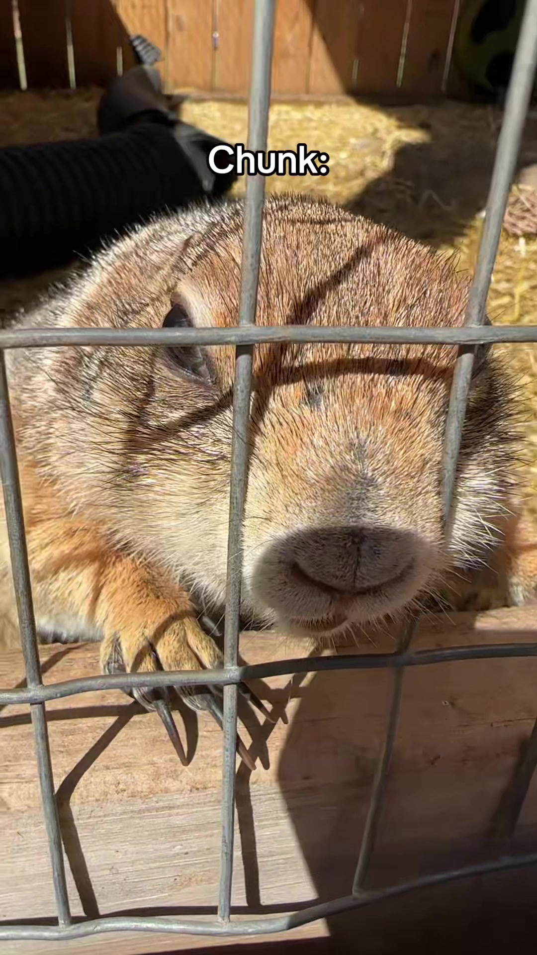 @Texas Wildlife Park