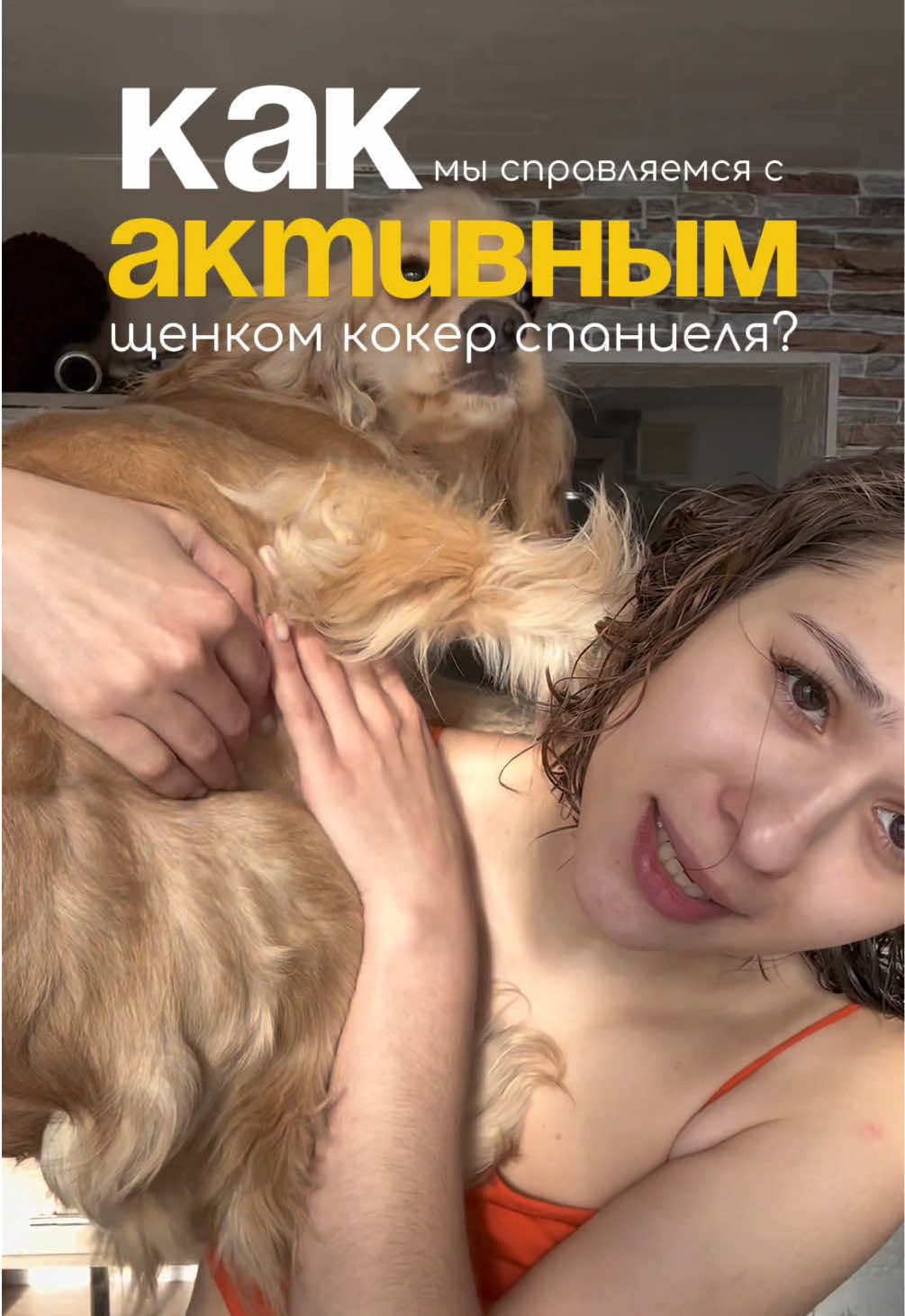 @skaldinova.resni
