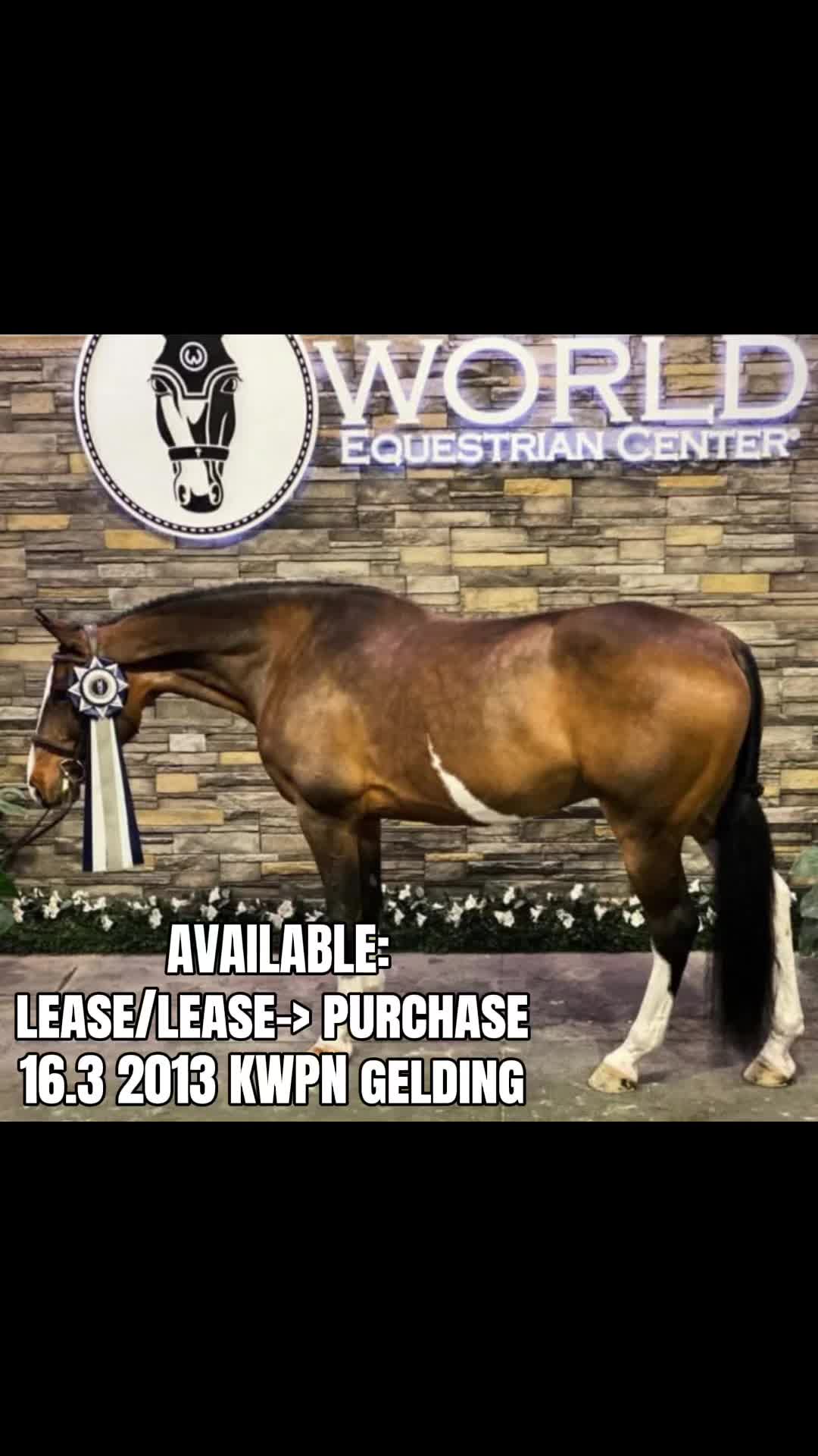 @.ktm.equestrian