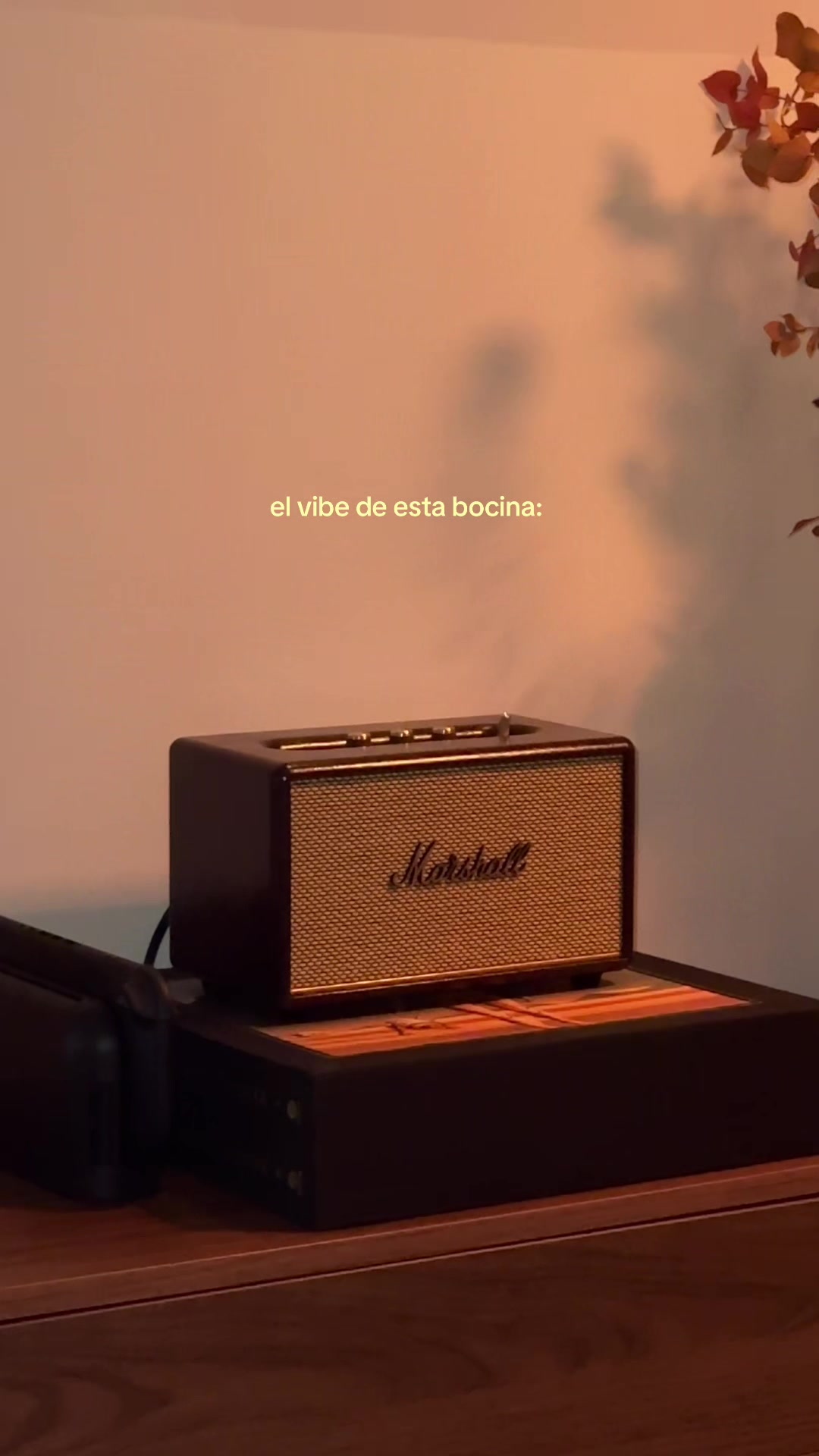 @gabriela m. castillo