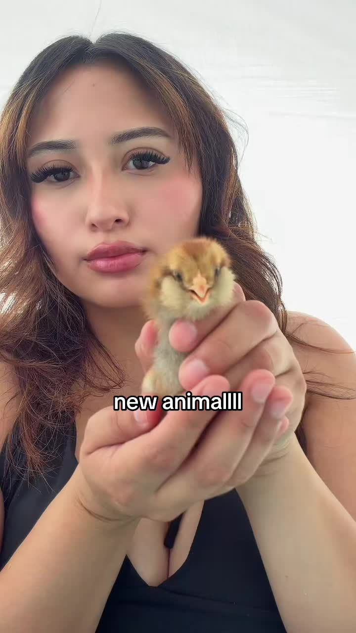 @karim benzema