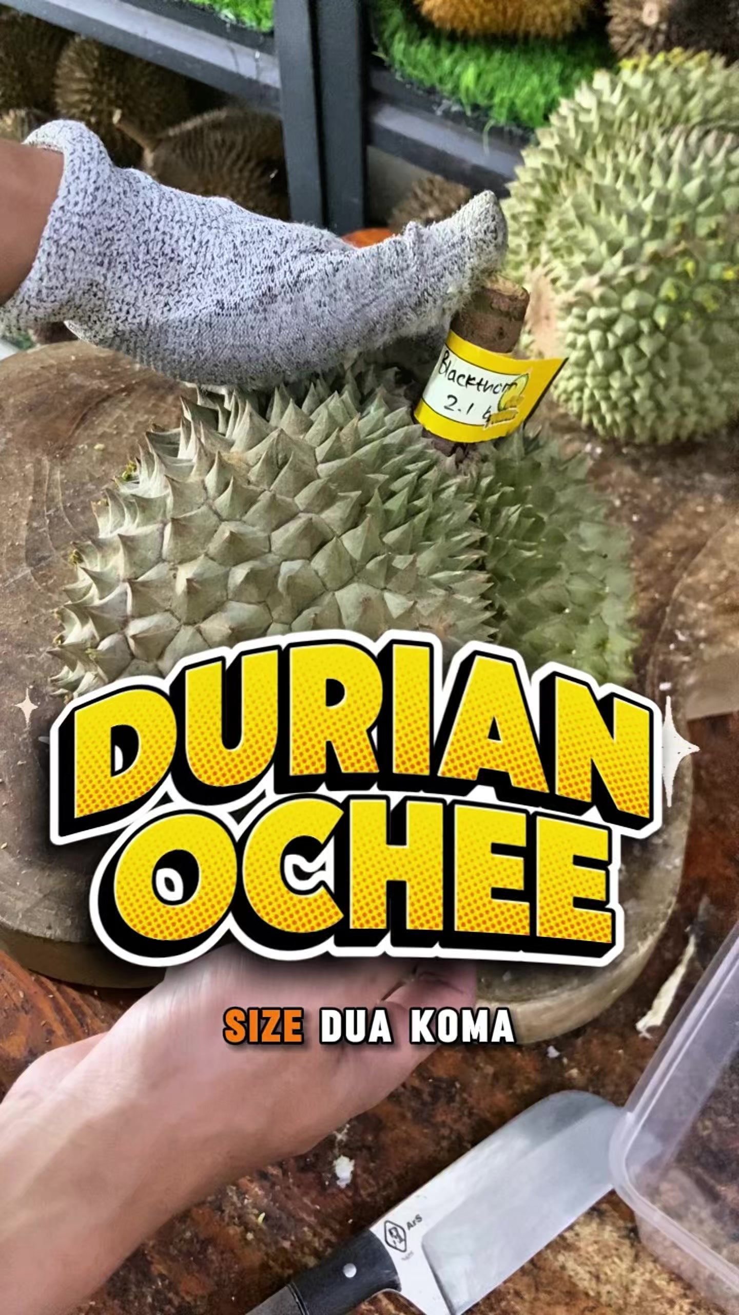 @CICIP DURIAN