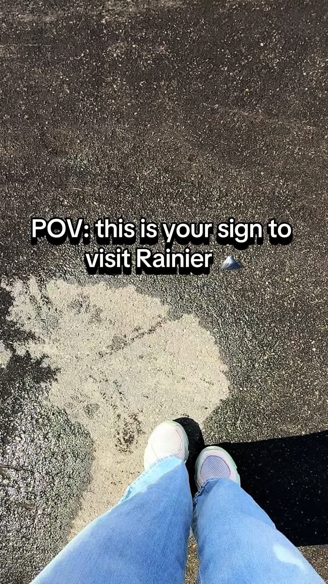 @arshayuu