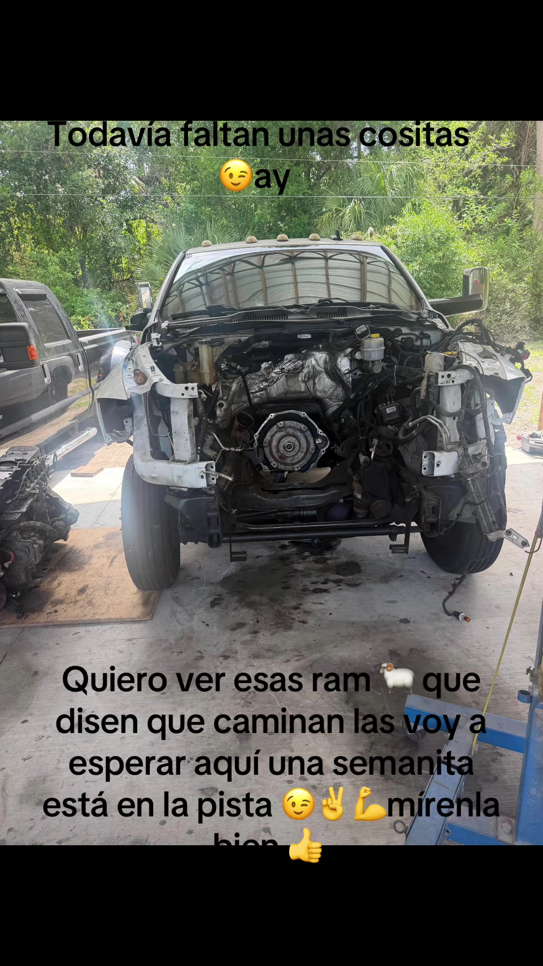 @✌️El papá de los cachorros 🐶