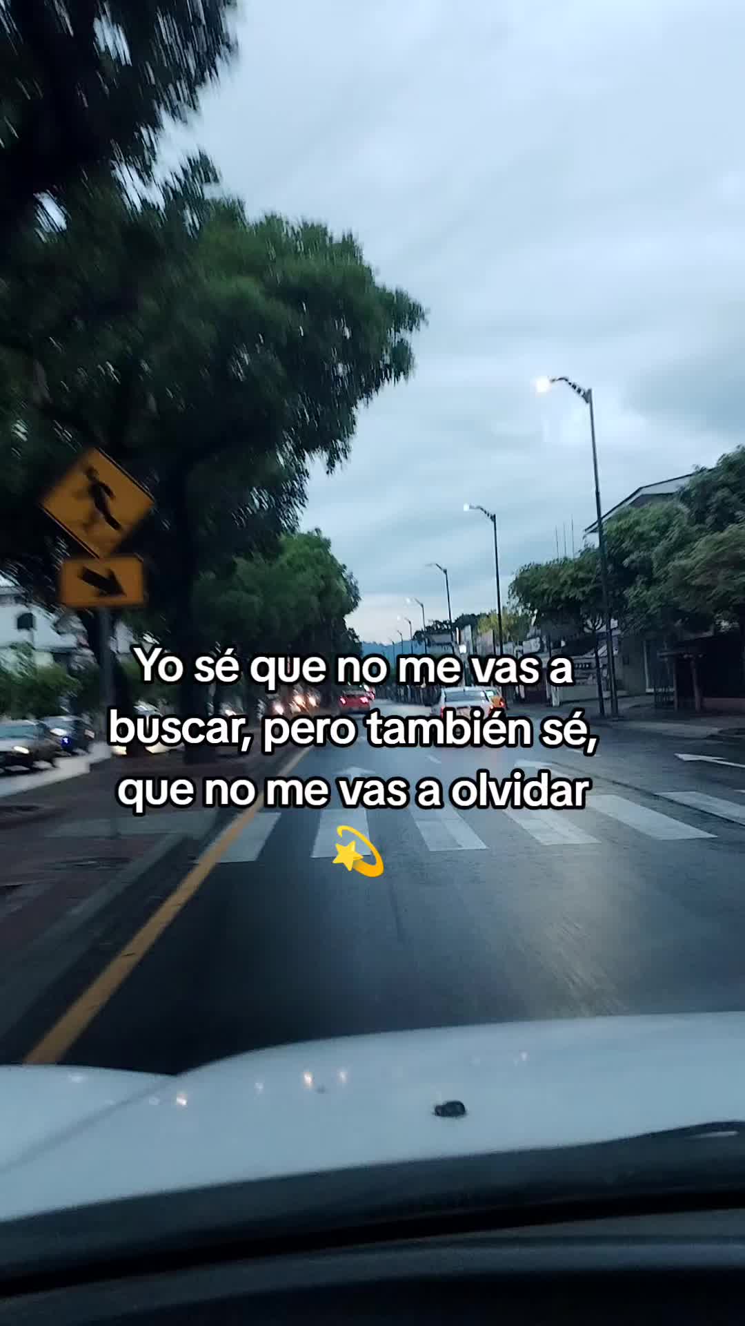 @ᥫ᭡𝕋𝕒𝕥𝕪 ᥫ᭡