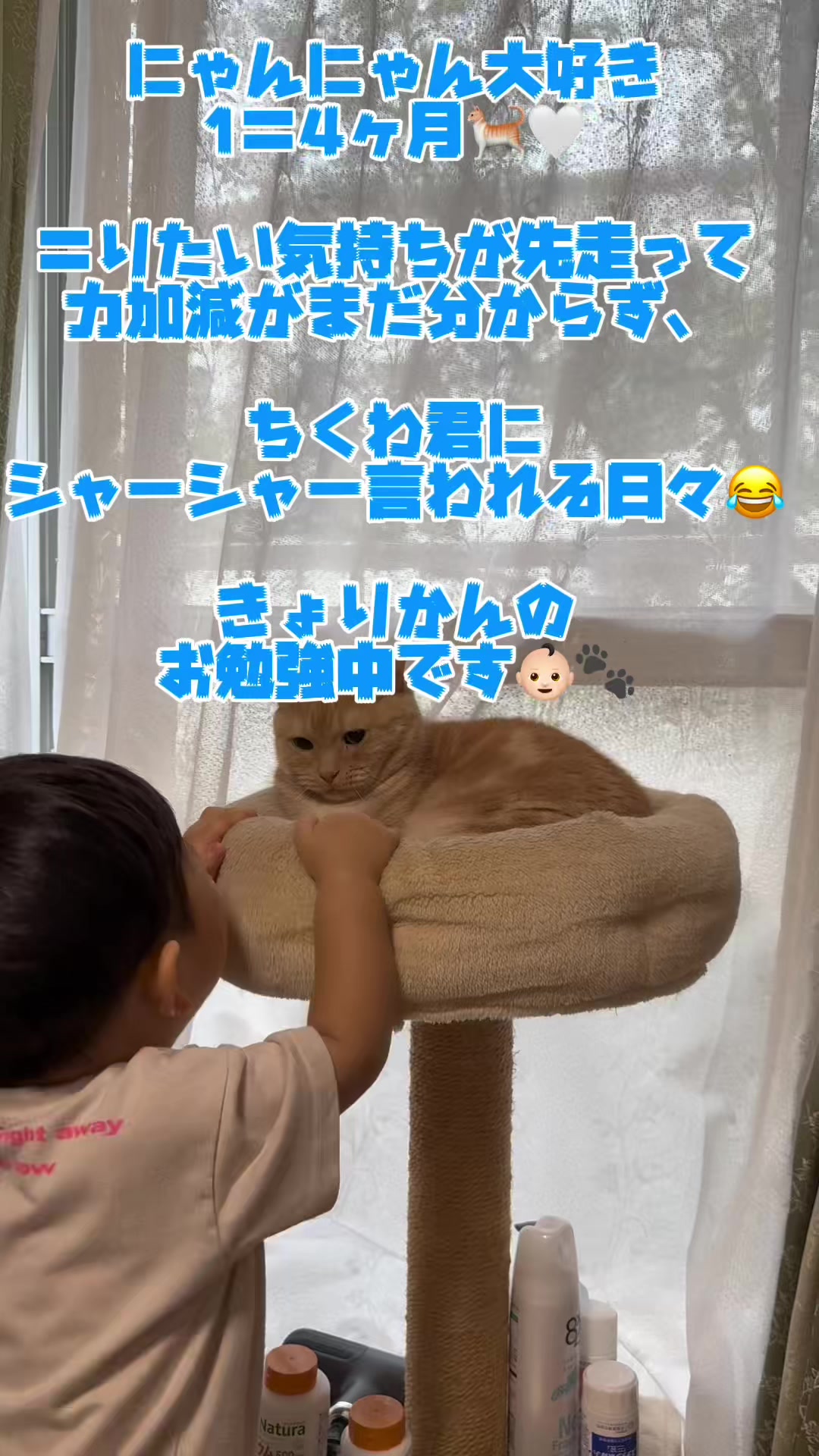 @nekotikwa
