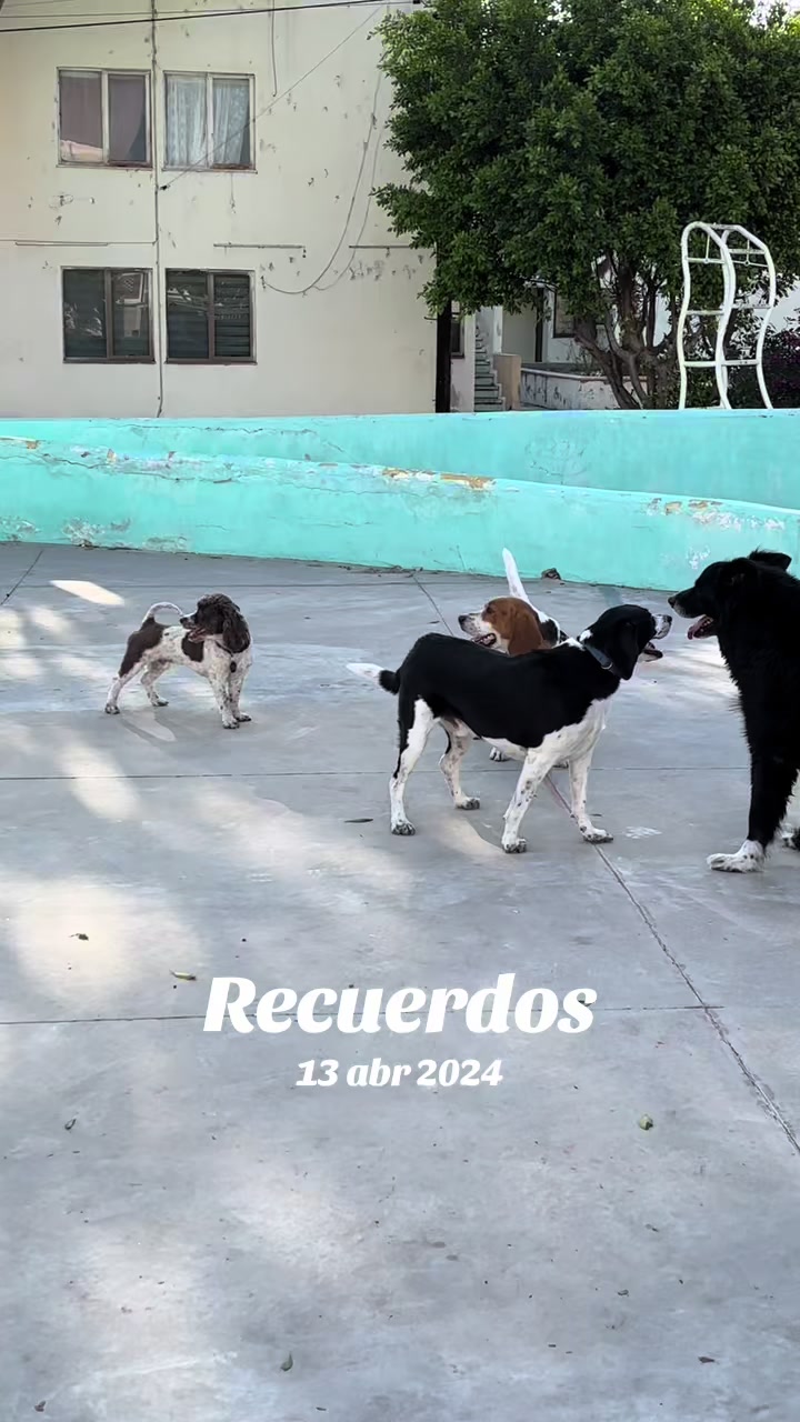 @Francisco Corona