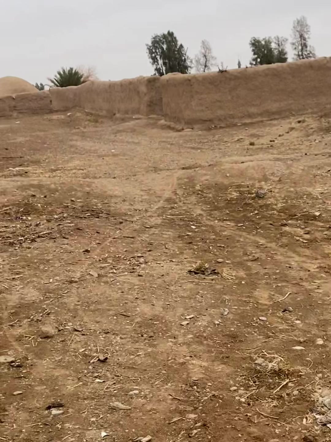 @raminnoorzai