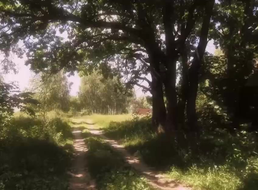 @звуки для липсингов