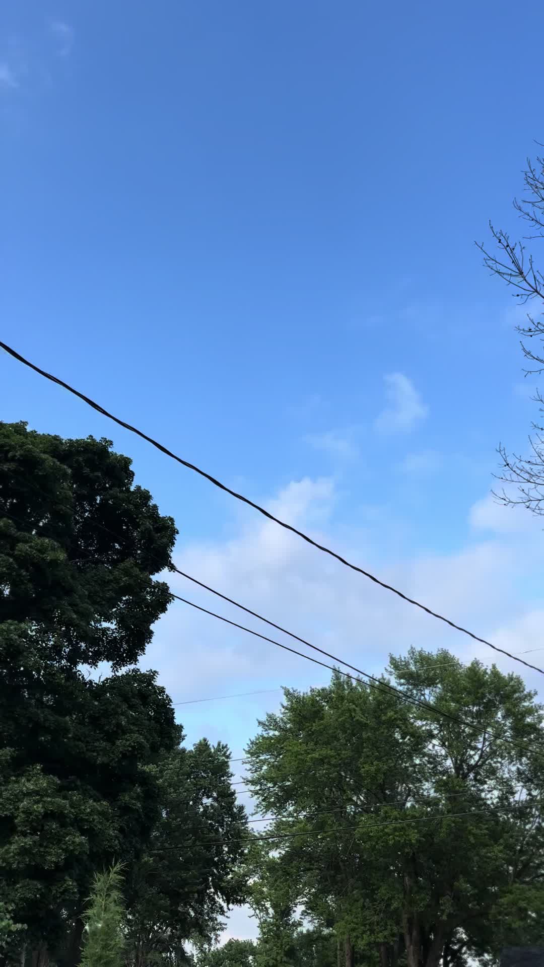 @ozzy_1320