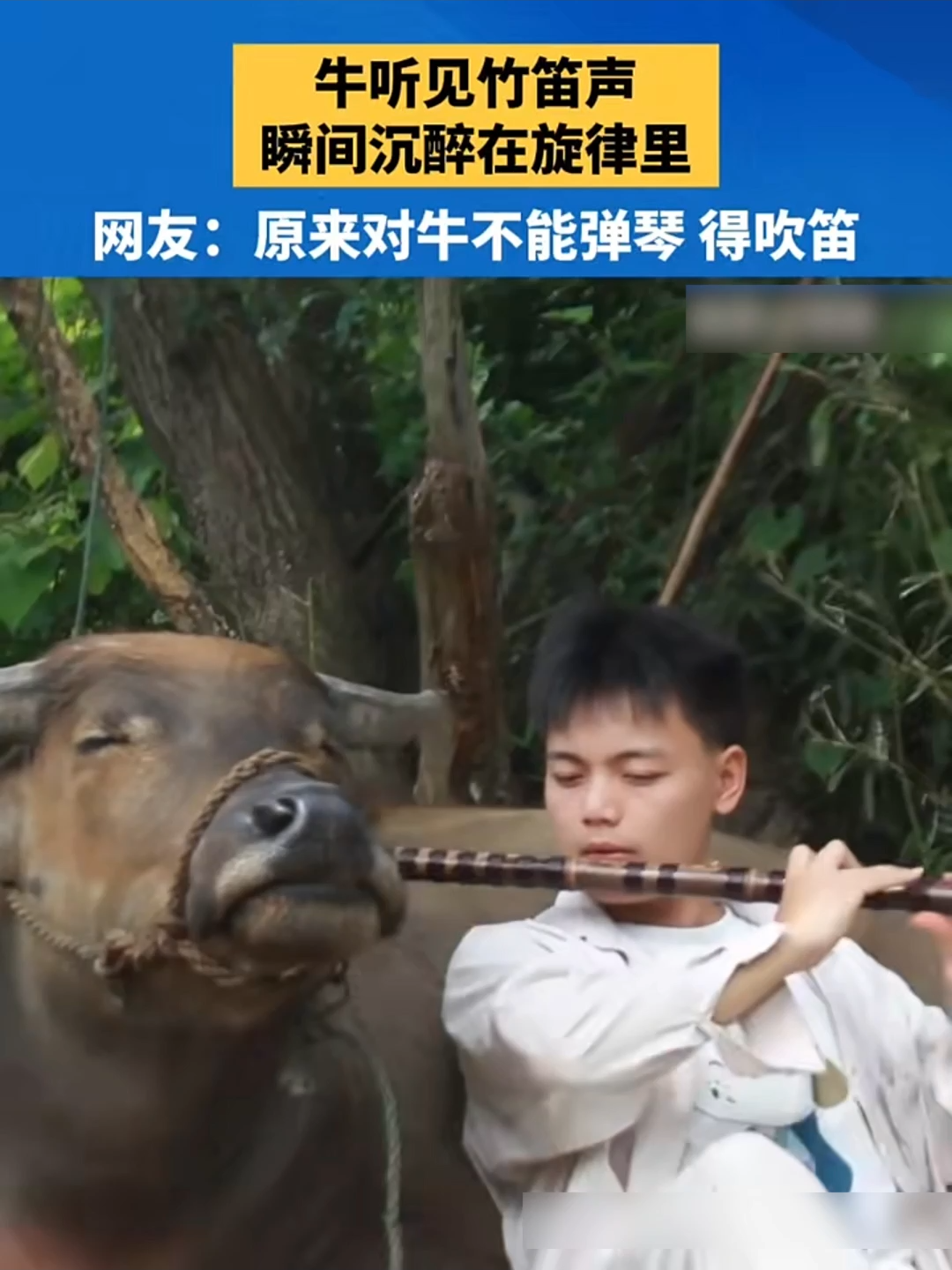 @闽南风～