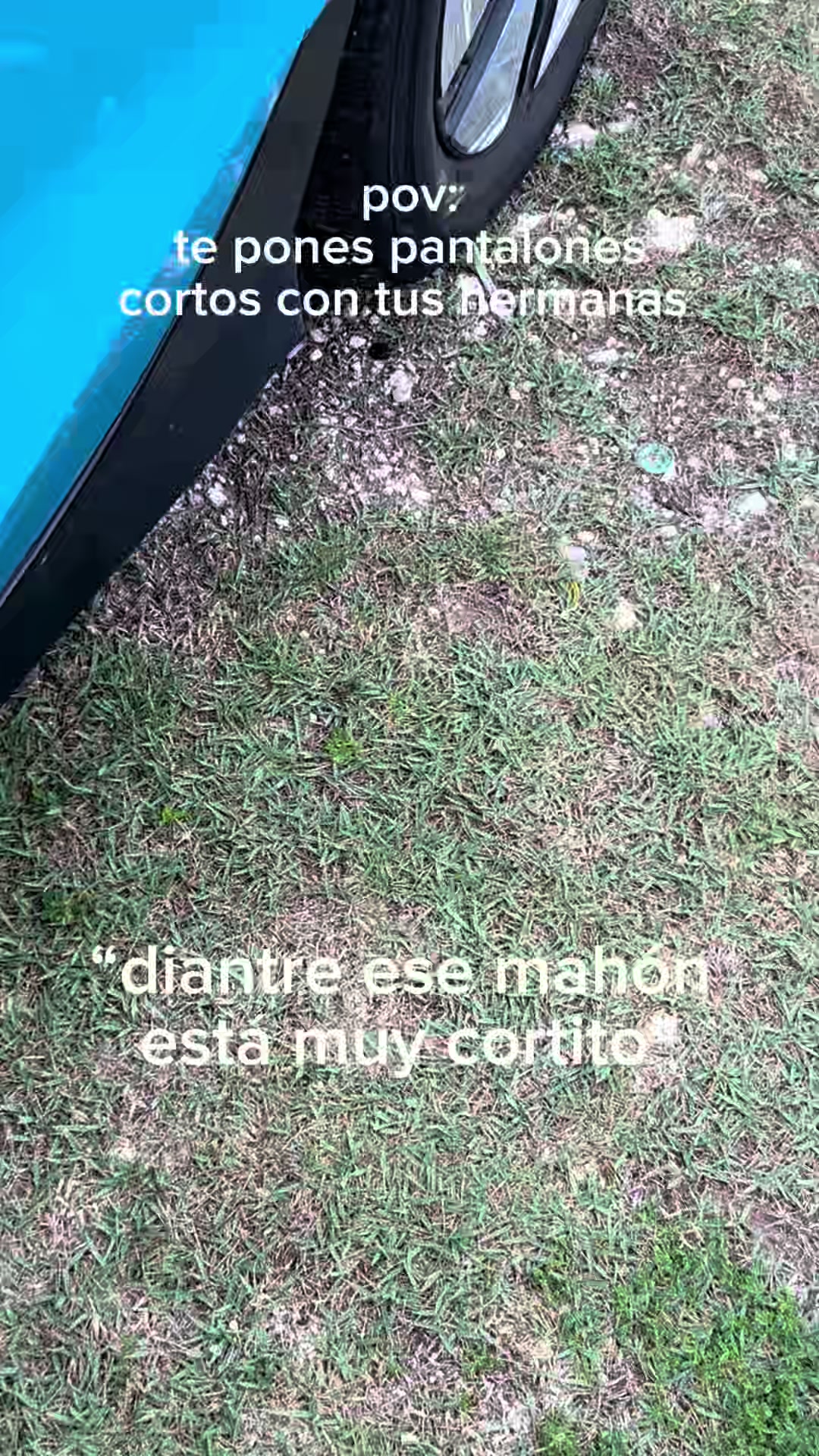 @mariliz