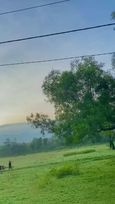 @liceloow5