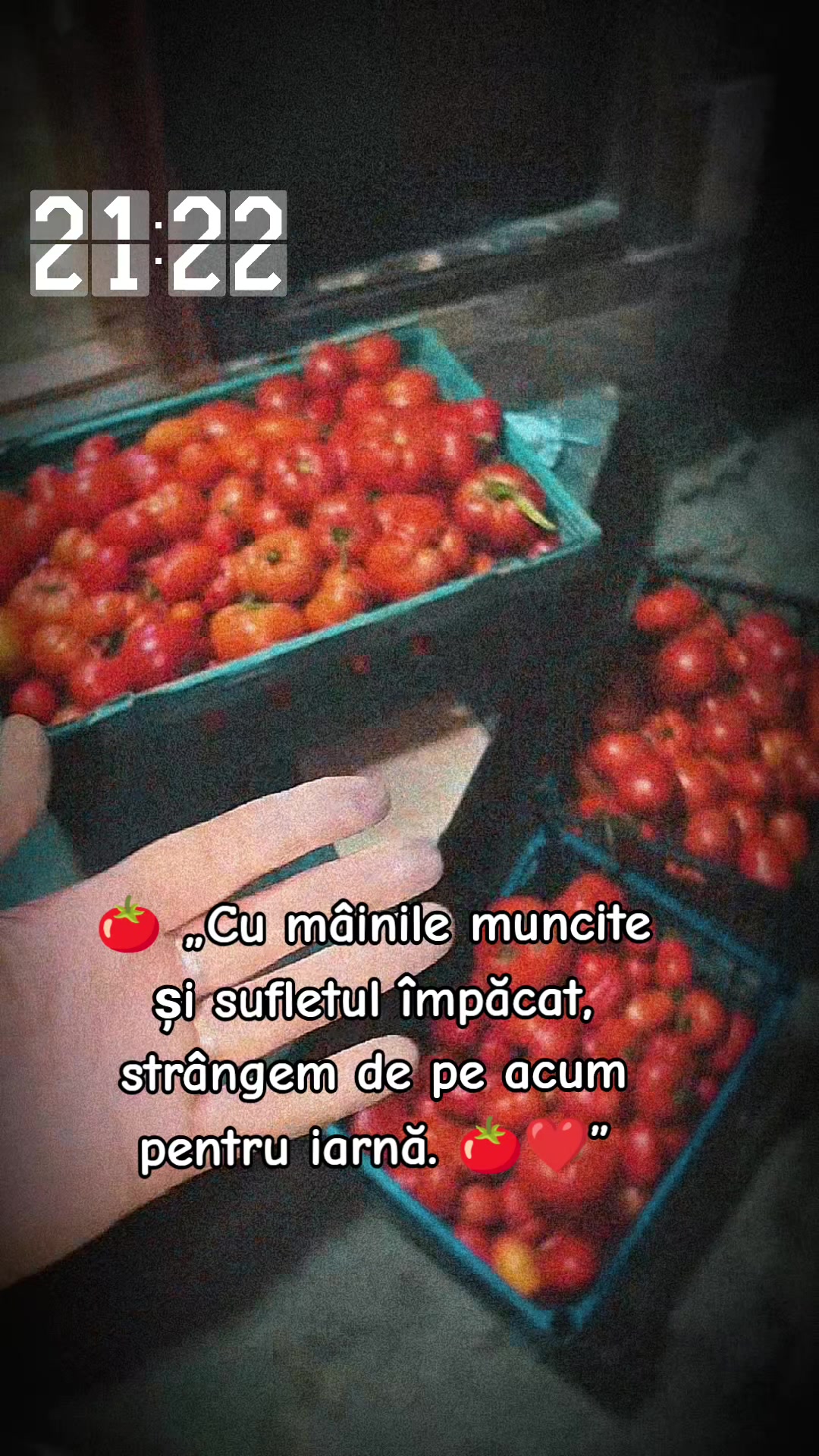@♕ 𝕱𝖆𝖙ă𝖕𝖚𝖙𝖊𝖗𝖓𝖎𝖈ă♕
